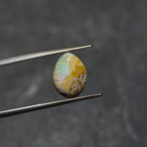 Opale boulder bois opalisé 1,75 carats